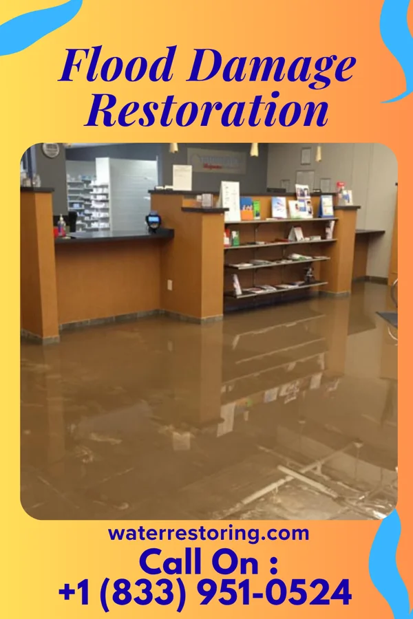 Flood Damage Restoration in Renovo, PA