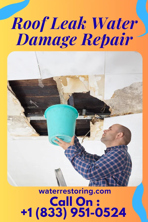 Roof Leak Water Damage Repair in Renovo, PA