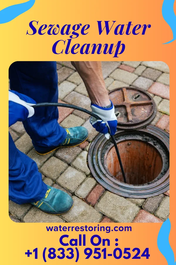 Sewage Water Cleanup in Renovo, PA